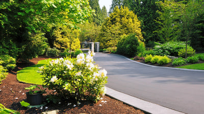 How to Turn Your Driveway Landscaping into a Grand Entrance