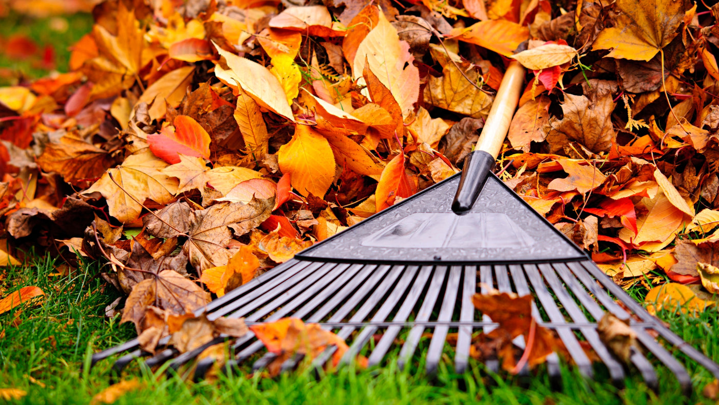 how to prepare your landscape for fall and winter