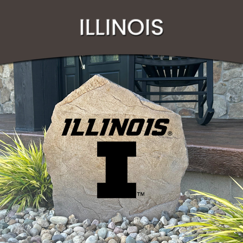 University Of Illinois