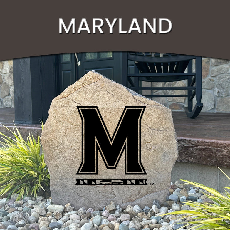 University Of Maryland