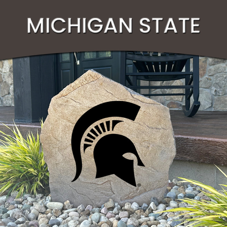 Michigan State University