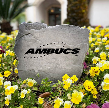Ambucs Stone