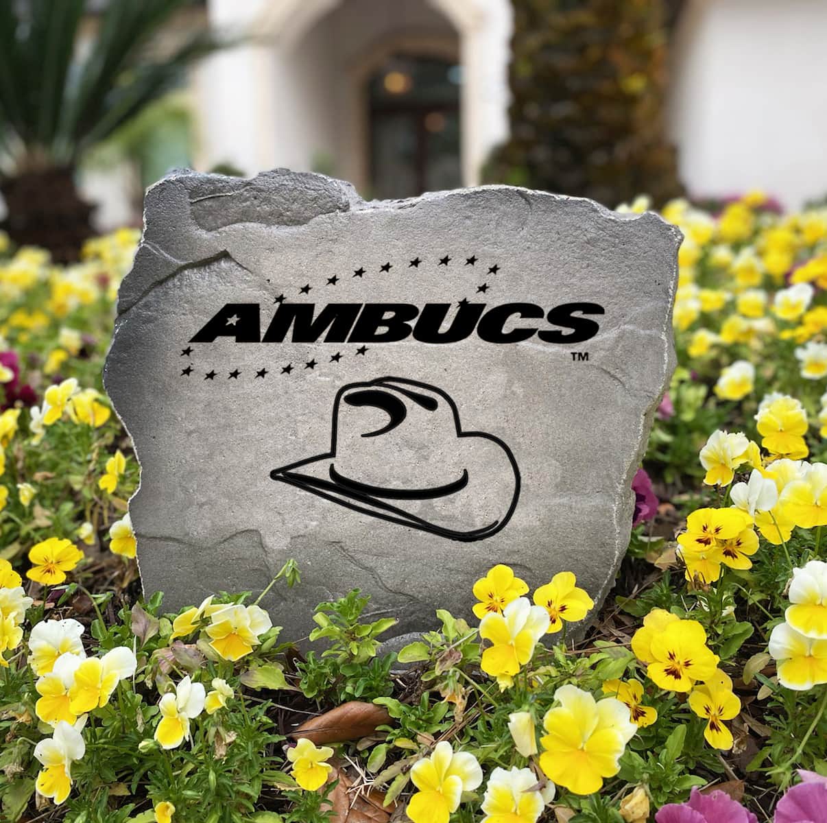 Ambucs Big Hat Stone