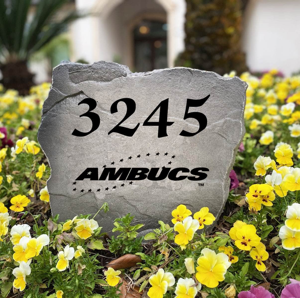 Ambucs Address Stone