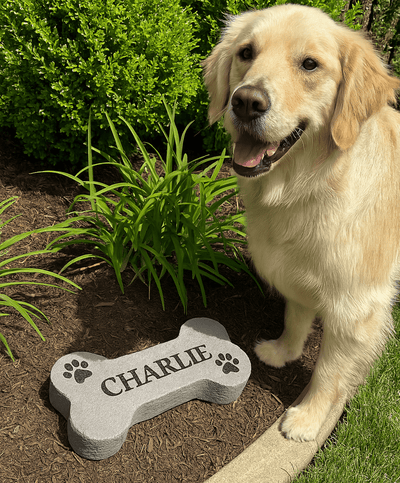 Dog standing next to a personalized dog bone-shaped stone with 'CHARLIE' engraved, outdoors.