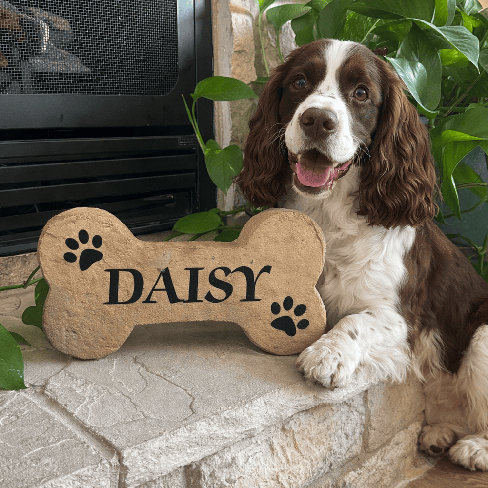 Decorative Dog Bone Stone featuring a unique bone-shaped design and permanent engraving. Ideal for pet lovers, this custom outdoor stone enhances front yards, walkways, and dog-friendly gardens with timeless appeal.