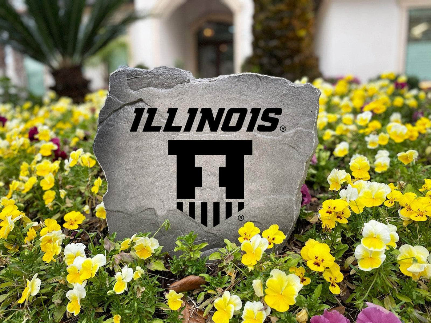 University Of Illinois Badge Logo Stone