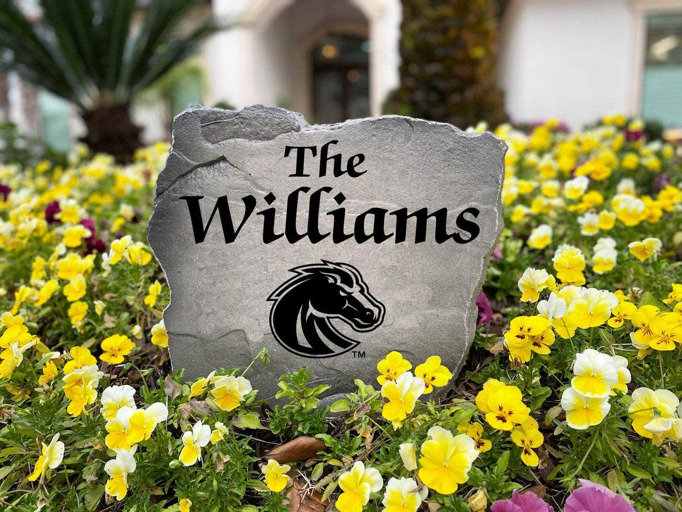 Engraved Boise State rock featuring last name for porch or garden