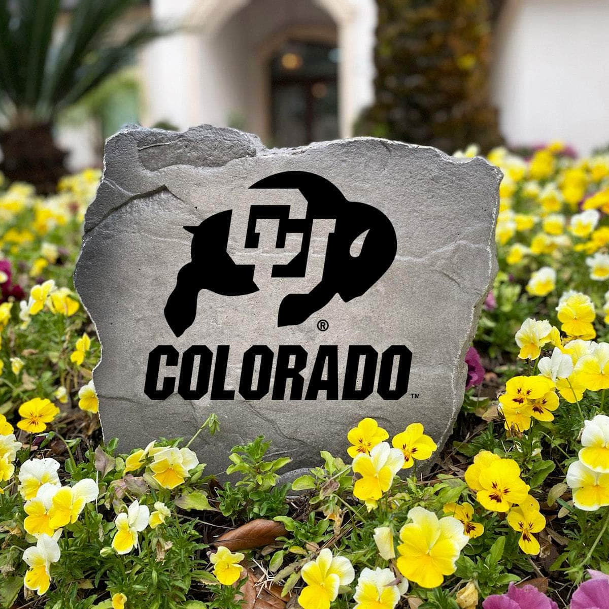 Officially licensed Colorado Buffaloes Logo Stone handcrafted in the USA with detailed team engraving and weather-resistant durability. This decorative garden stone enhances outdoor spaces with lasting beauty and collegiate spirit.