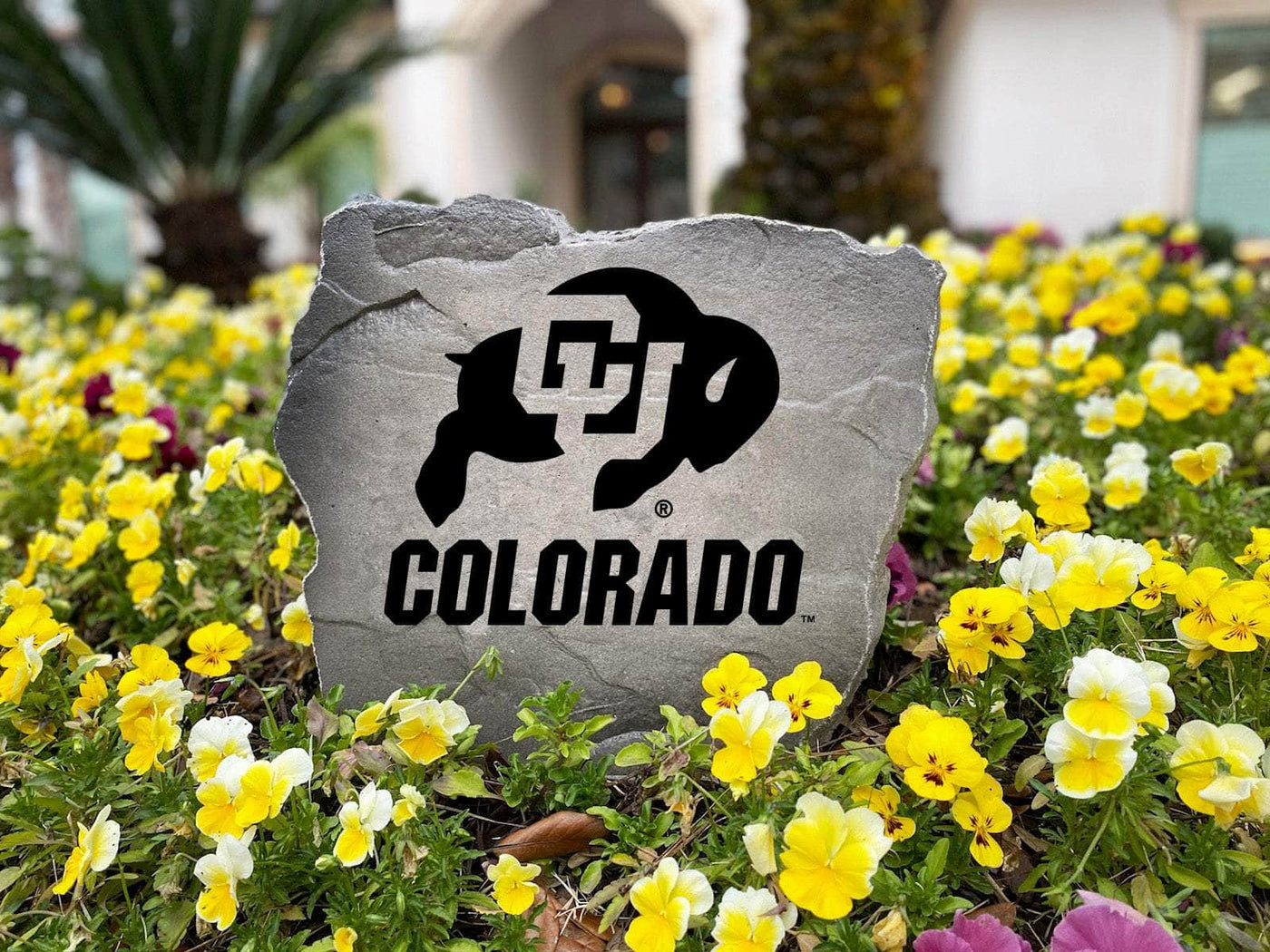Custom engraved stone with University of Colorado symbol
