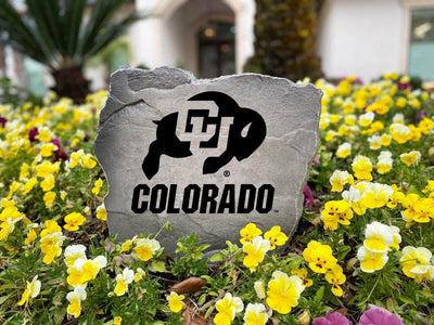 Custom engraved stone with University of Colorado symbol