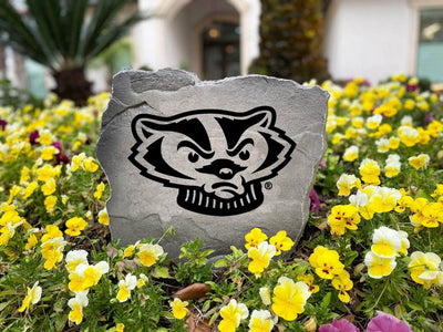 College rock with University of Wisconsin mascot, perfect for outdoor team pride.