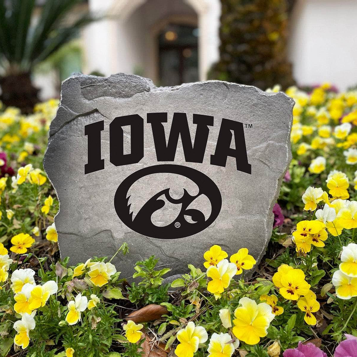 Fan-favorite University of Iowa landscaping rock