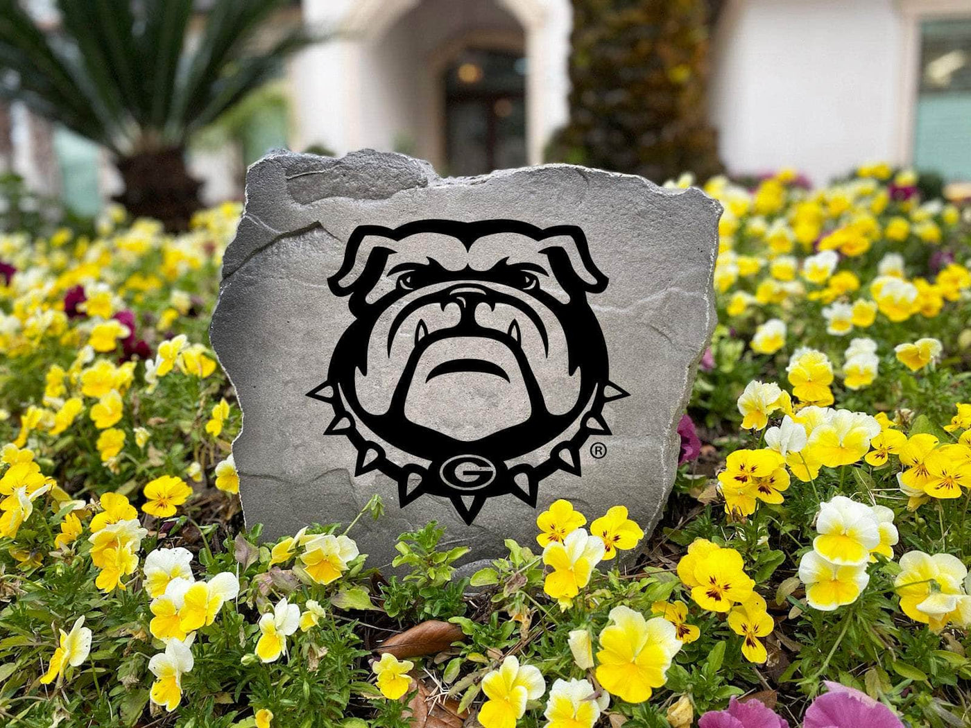 Engraved University of Georgia bulldog mascot stone