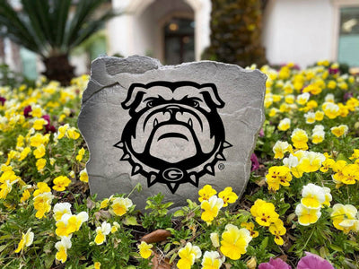Engraved University of Georgia bulldog mascot stone