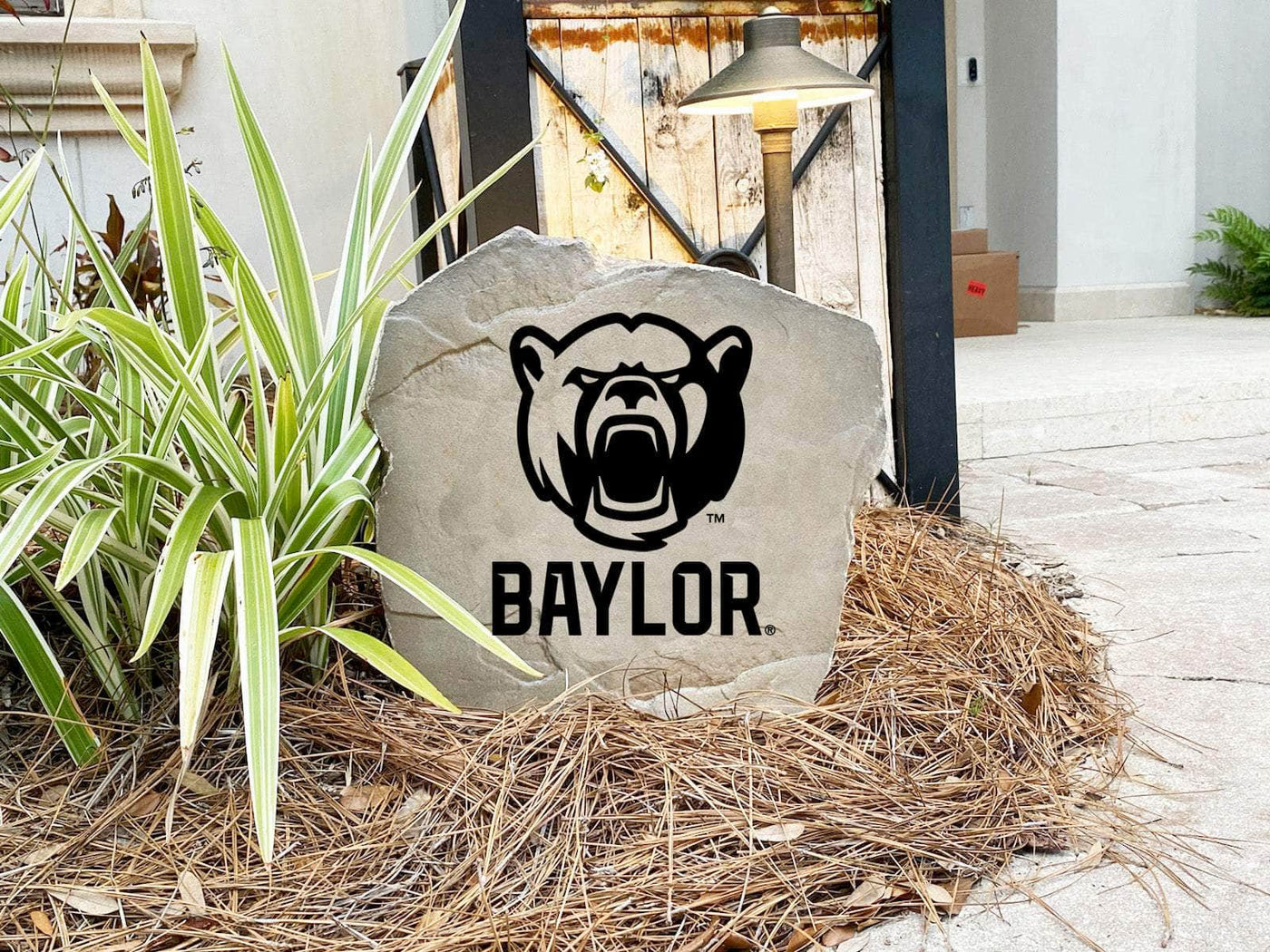 College mascot stone with fierce Baylor bear engraving, ideal for sports fans.