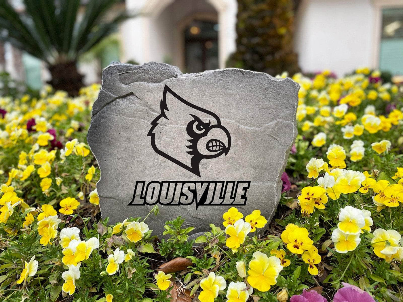 Large engraved rock showcasing Louisville Cardinals design