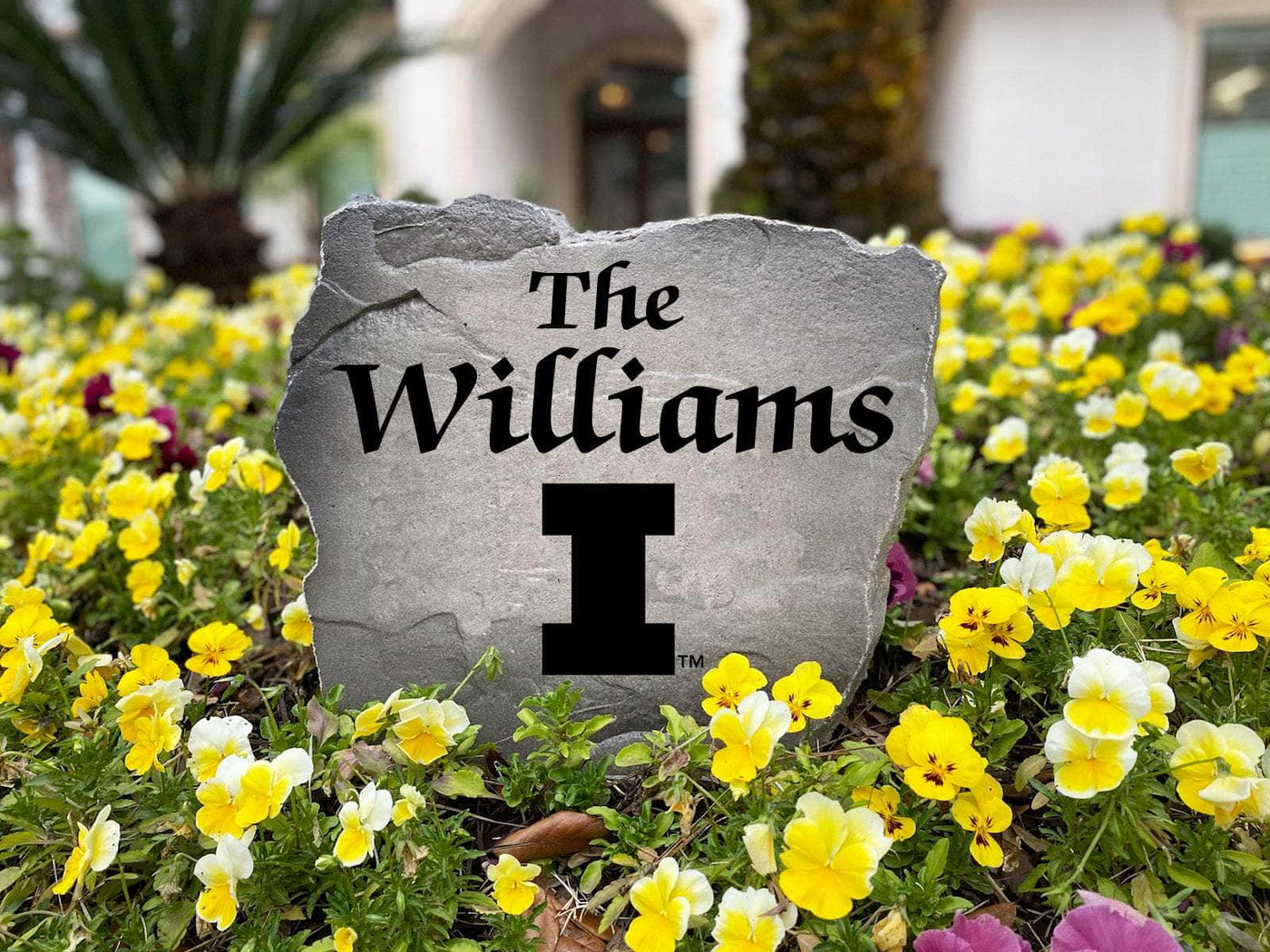 Unique Illinois name rock sign with engraved details for home or garden.