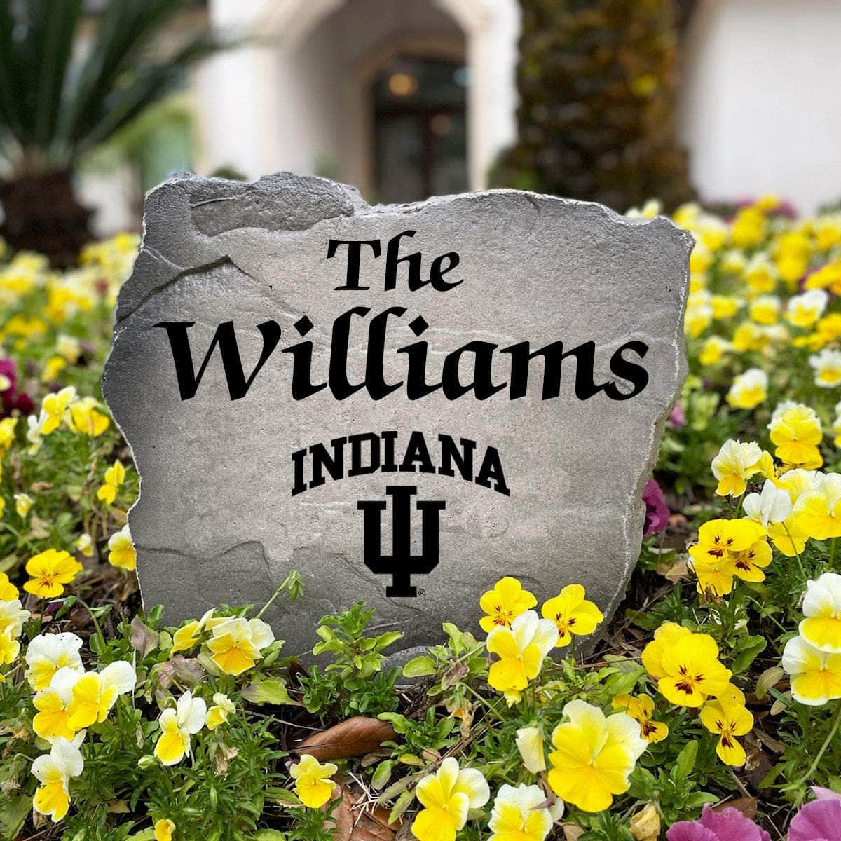 Officially licensed Indiana Hoosiers Name Stone handcrafted in the USA with custom family engraving and detailed team artwork. This decorative garden stone enhances landscape beds, patios, and outdoor living spaces with lasting beauty and school spirit.