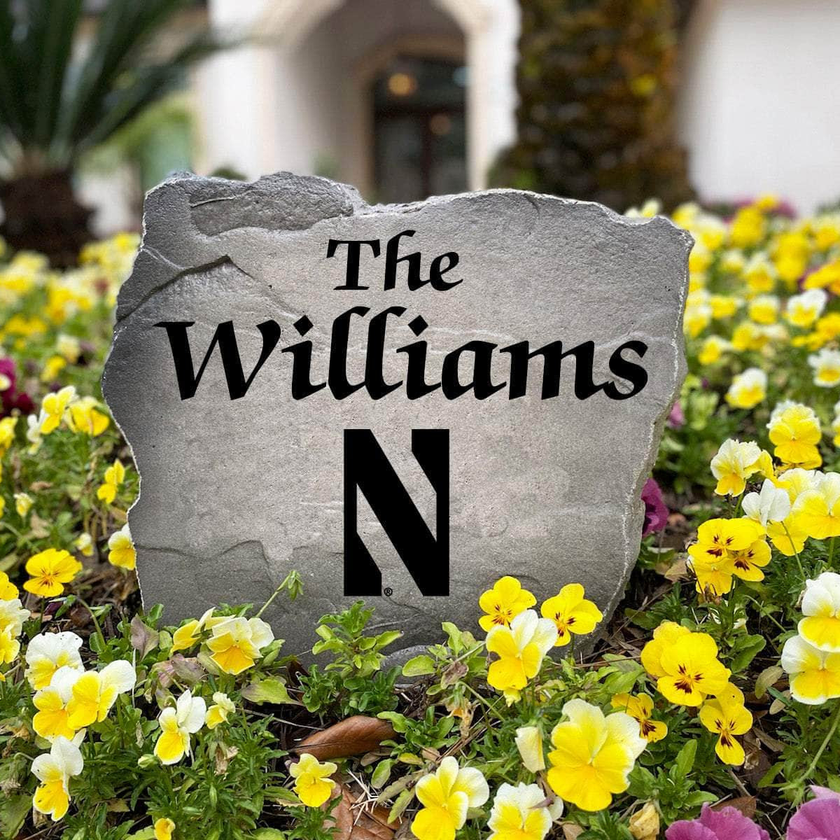 Premium Northwestern University surname landscape stone personalized for alumni, graduates, and dedicated Wildcats supporters who love distinctive yard décor.