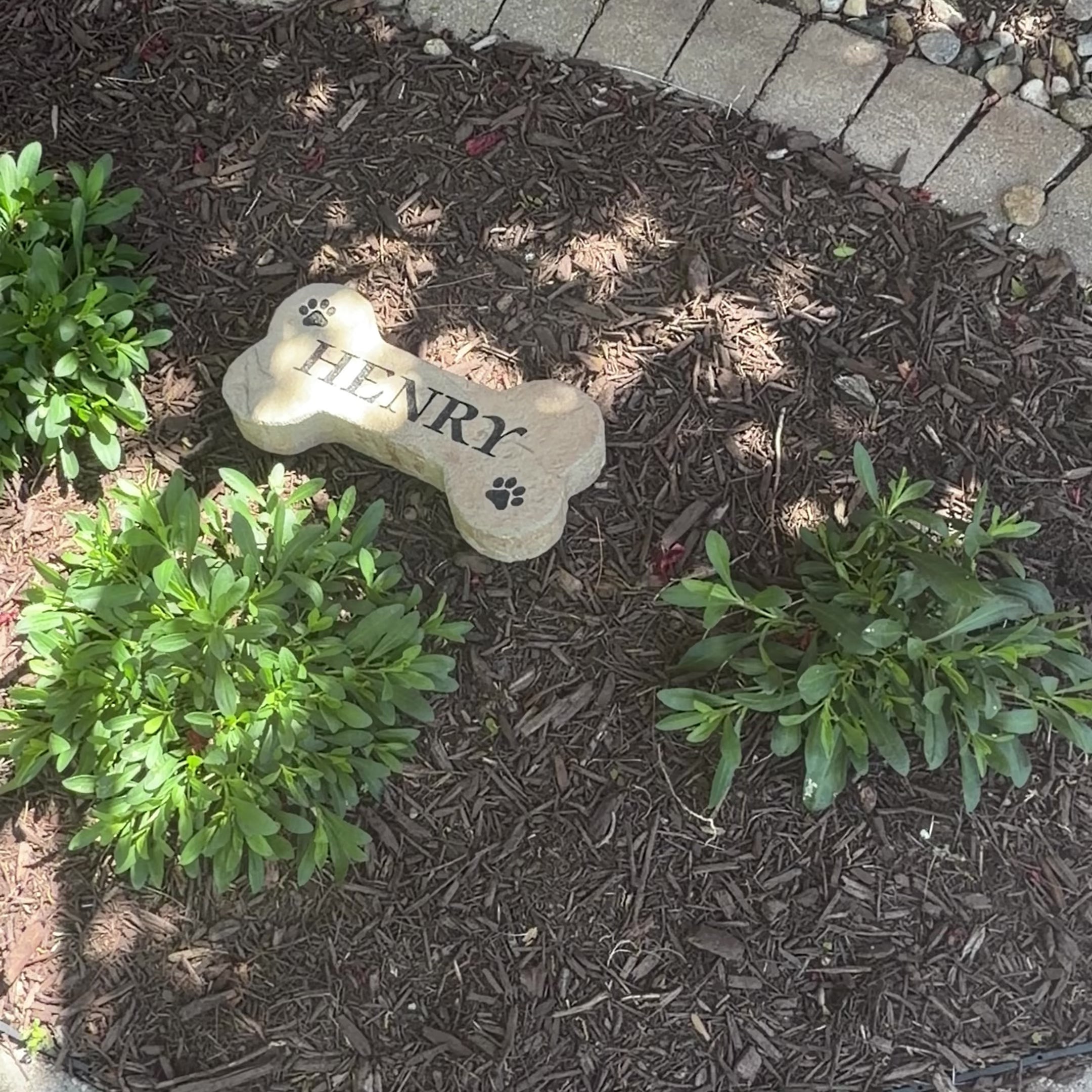 Video featuring the Dog Bone Stone, a personalized engraved pet memorial and decorative garden stone designed for dog lovers. Displayed outdoors to showcase its timeless beauty, durable craftsmanship, and the warm, welcoming touch it adds to a front yard, garden, or pet-friendly landscape.