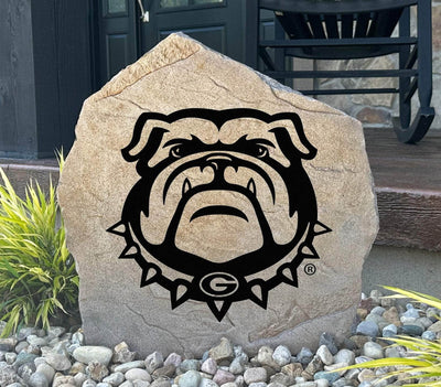 Georgia Bulldogs rock featuring iconic bulldog mascot