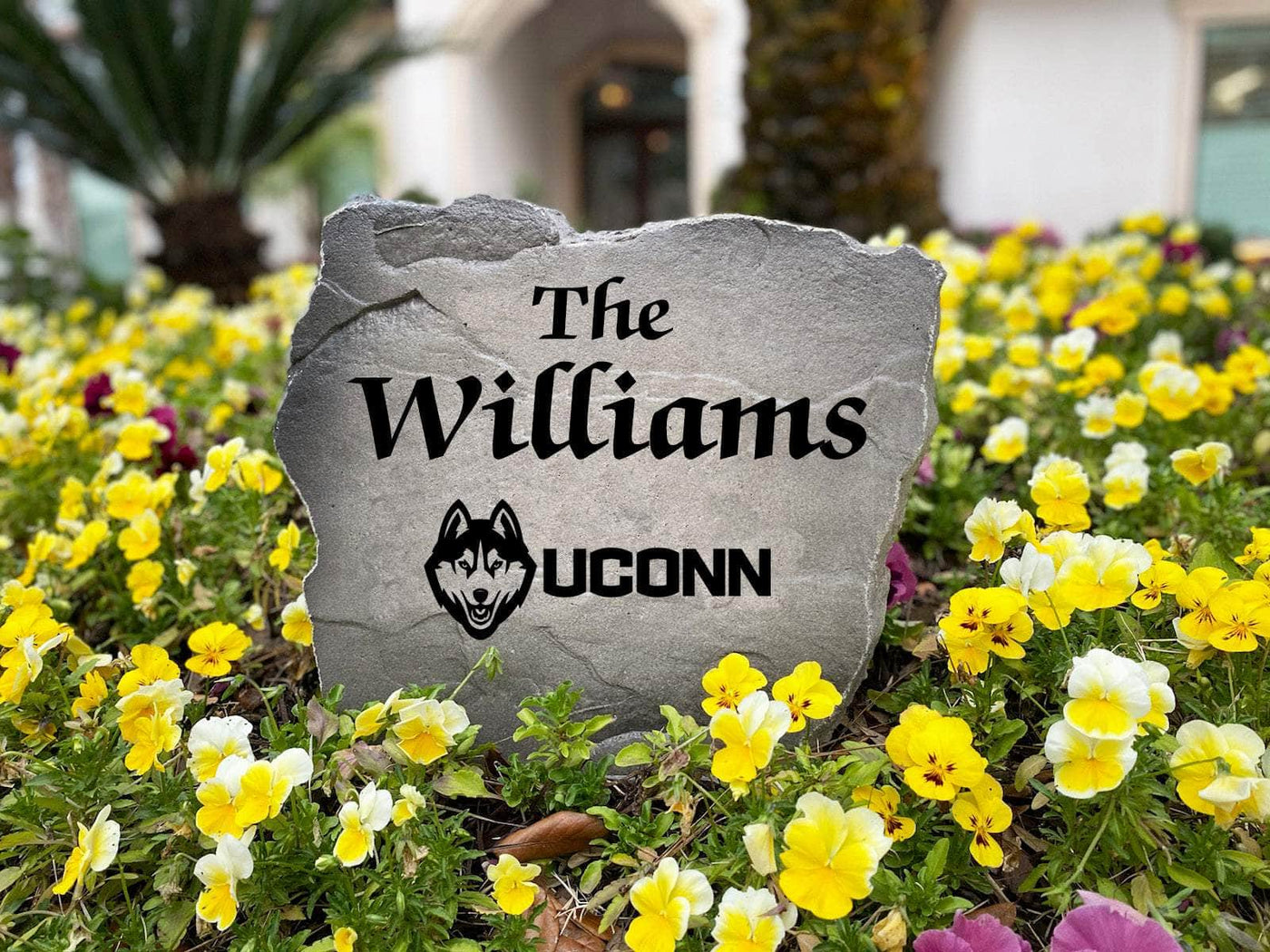 University of Connecticut name stone perfect for driveway or entryway.