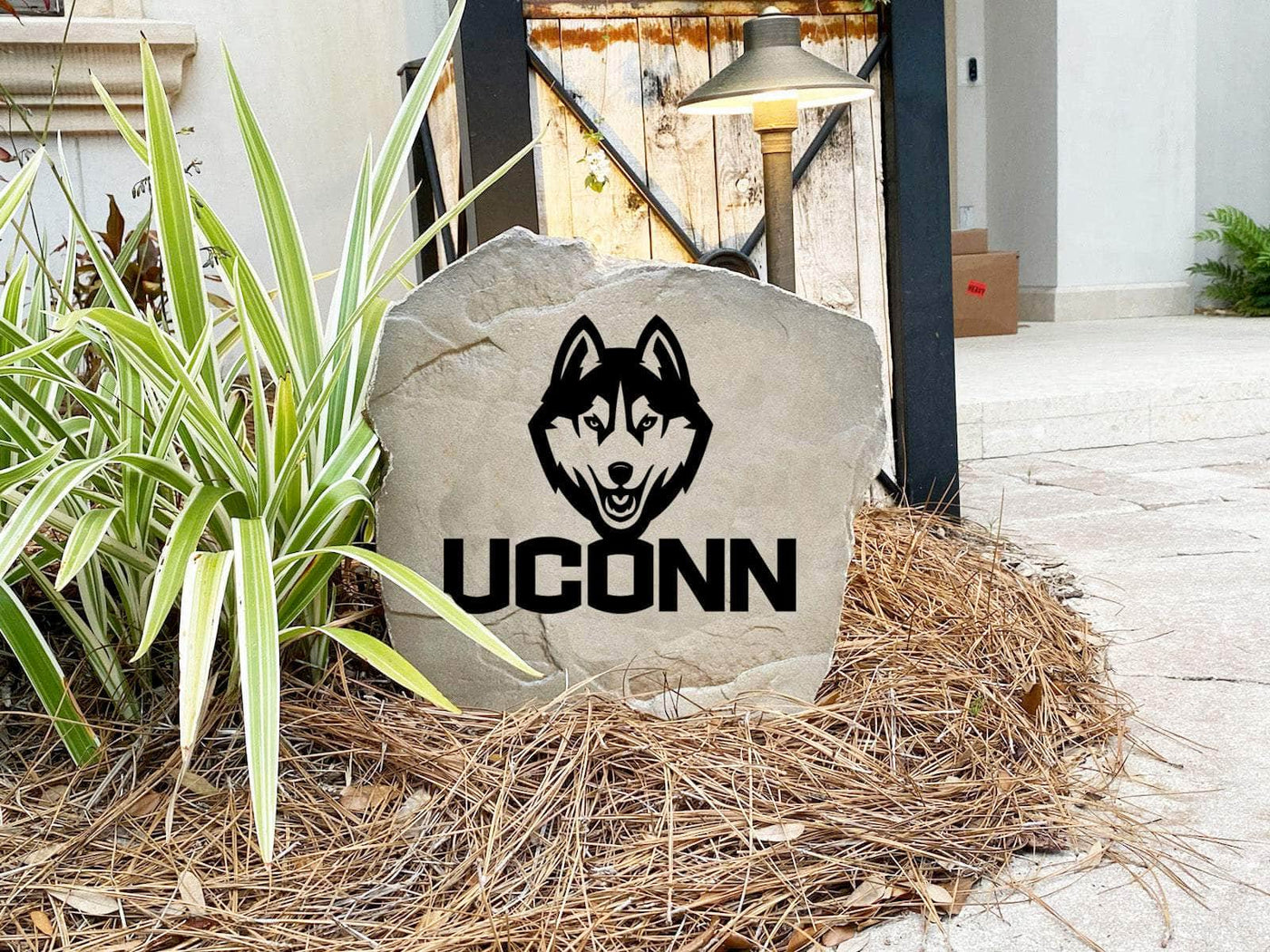 Engraved University of Connecticut logo decorative stone.